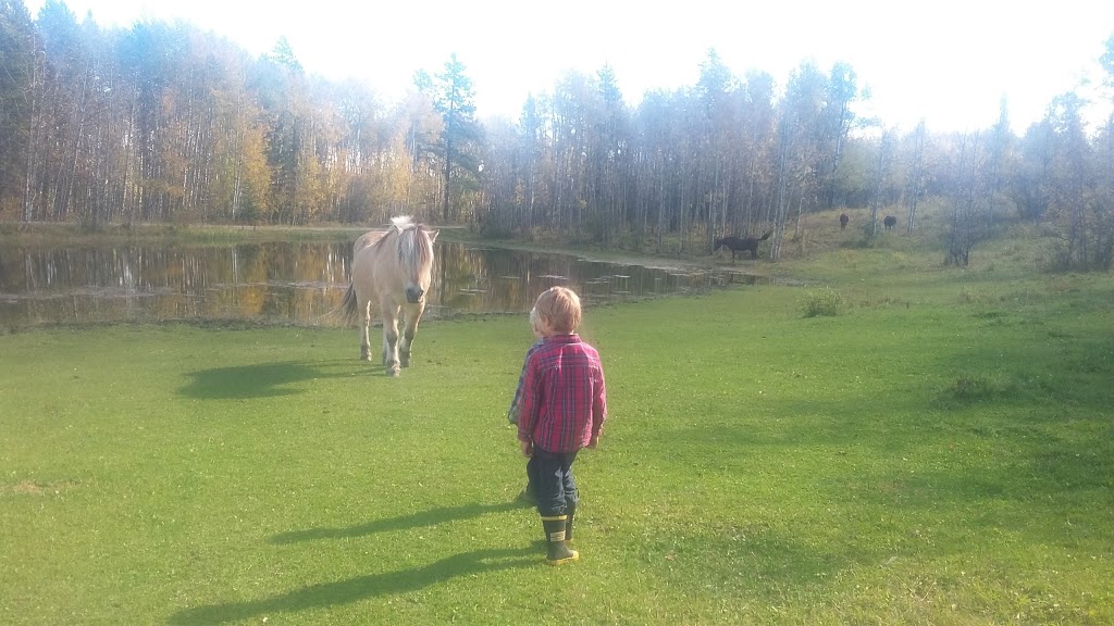 Homeplace Ranch | Foothills No. 31, AB T0L 1W0, Canada | Phone: (403) 969-4444