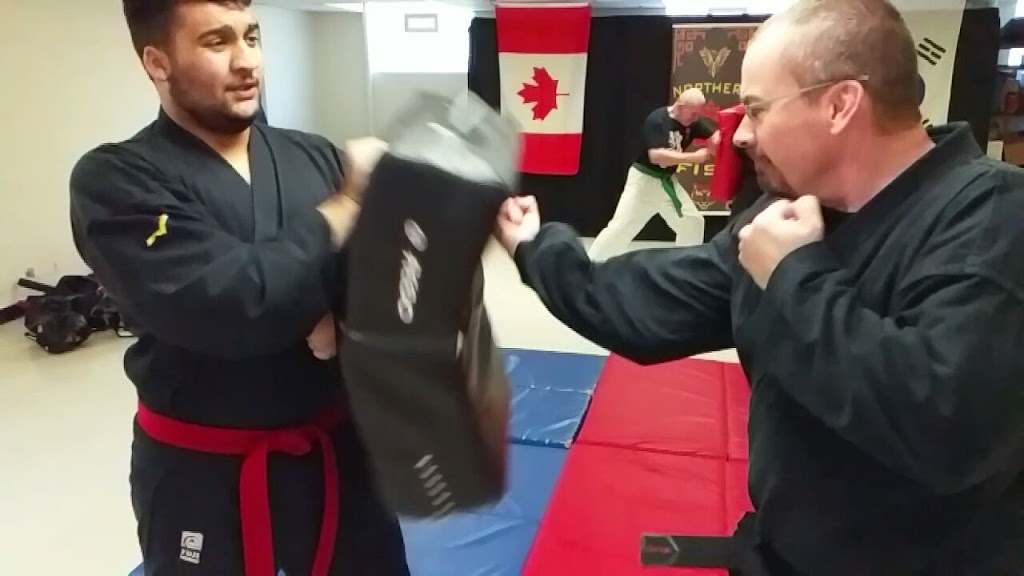 Northern Fist Martial Arts | 4276 Roseland Dr E, Windsor, ON N9G 1Y7, Canada | Phone: (226) 782-9456