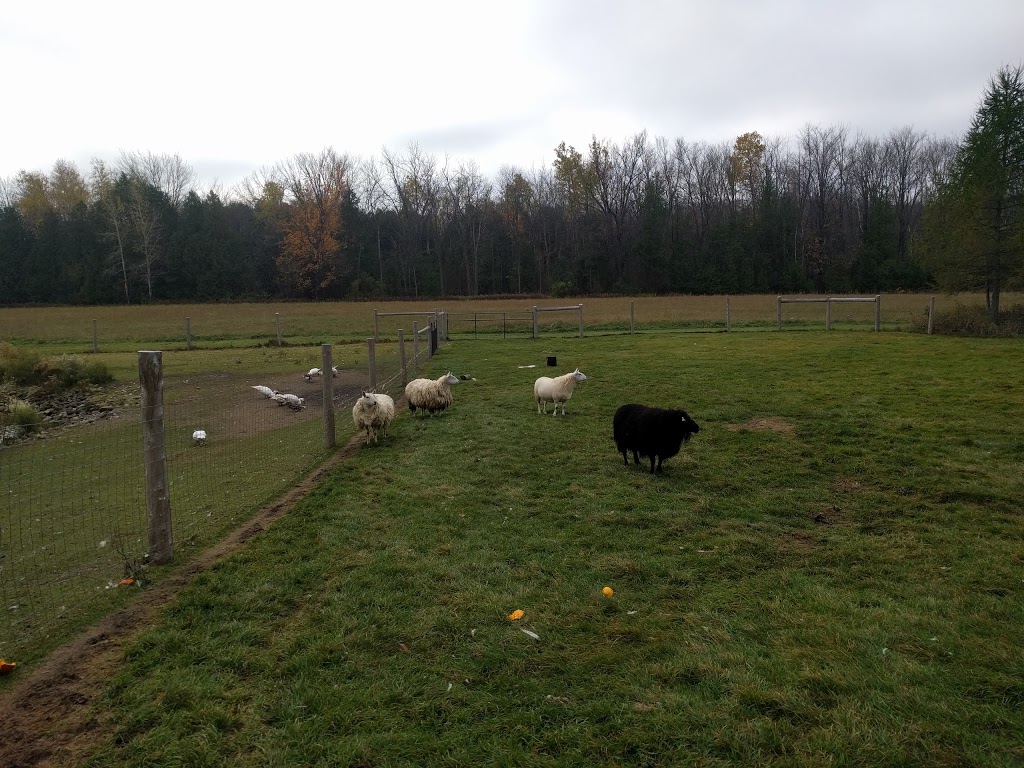 Harrington Lane Farms | Flamborough, Hamilton, ON N0B 2J0, Canada | Phone: (289) 895-8000
