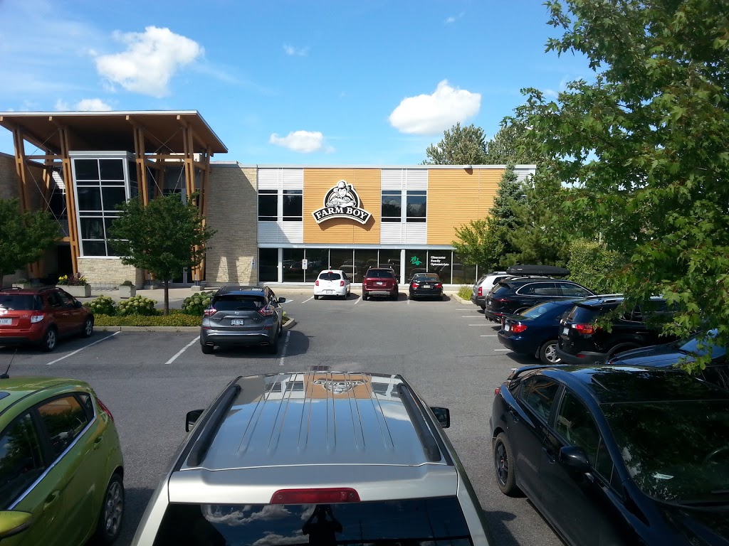 Gloucester Family Optometrists | 1427 Ogilvie Rd, Gloucester, ON K1J 8M7, Canada | Phone: (613) 745-5588