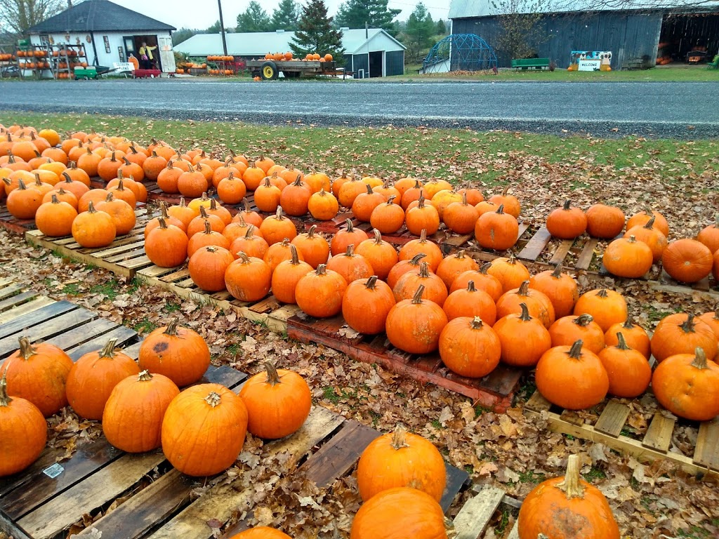 Geobern Farm - The James | 2634 Rosetta Rd, Lanark, ON K0G 1K0, Canada | Phone: (613) 256-1585