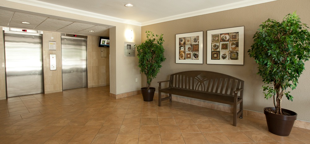Richgrove Drive | 21 Richgrove Dr, Etobicoke, ON M9R 2L2, Canada | Phone: (647) 475-6107