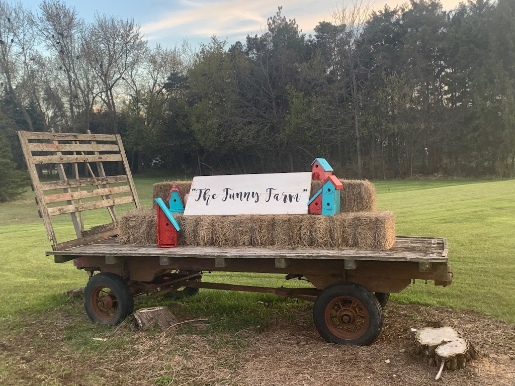 Funny Farm Country Cut Flowers | 4051Kimball Road, Corunna, ON N0N 1G0, Canada | Phone: (519) 671-7903