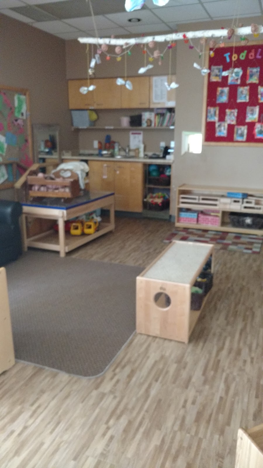 Good Beginnings | 375 Finkle St, Woodstock, ON N4V 1A3, Canada | Phone: (519) 421-0687