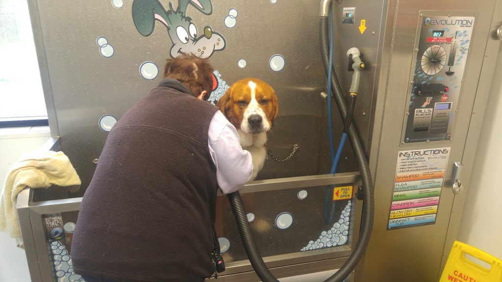 Suds and Pups | 0A2, 6733 W Coast Rd, Sooke, BC V9Z 0P6, Canada | Phone: (250) 704-6010