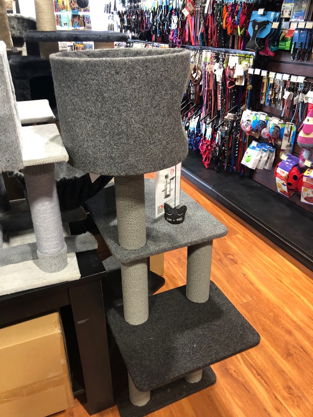 Pet Valu | 3838 Innes Rd, Orléans, ON K1W 0C8, Canada | Phone: (613) 590-7814