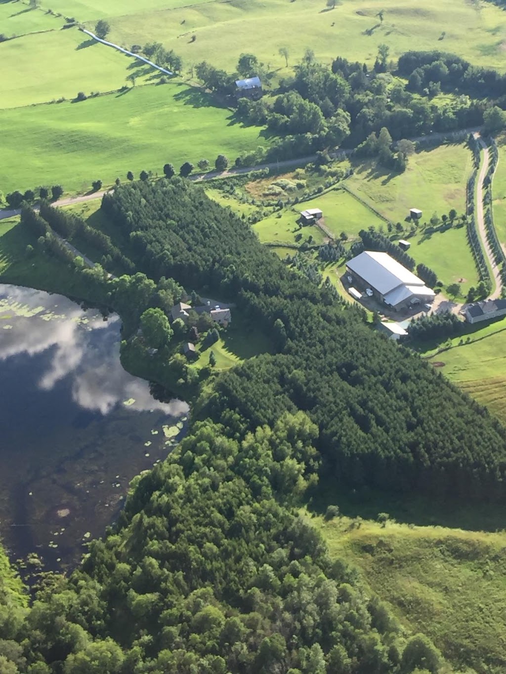 Stone House Farm Sales | 20511 Heart Lake Rd, Caledon Village, ON L7K 2A8, Canada | Phone: (416) 697-7792
