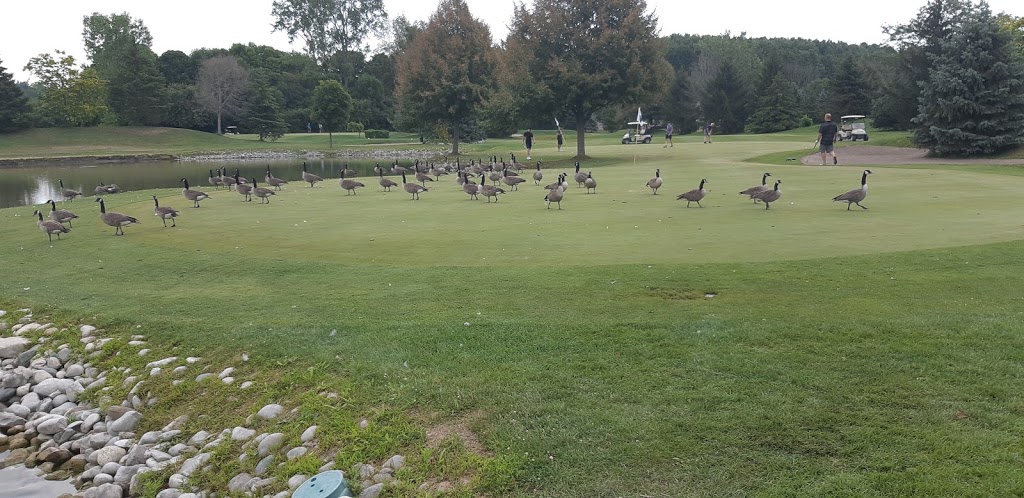 Kettle Creek Golf & Country Club | 320 Carlow Rd, Port Stanley, ON N5L 1B6, Canada | Phone: (519) 782-7500