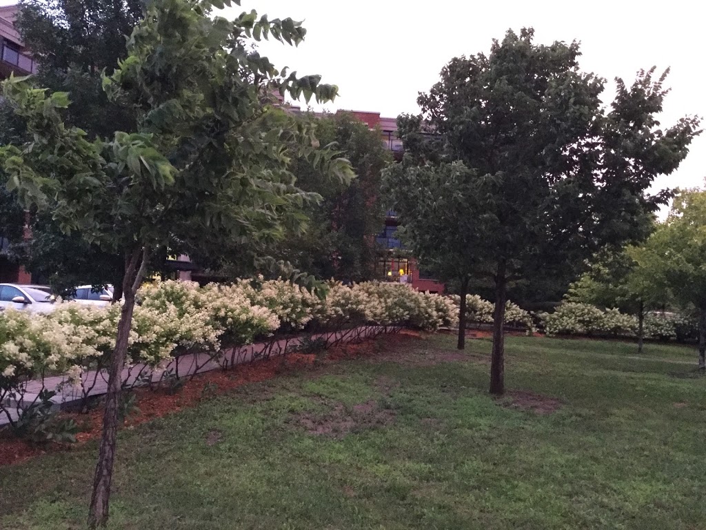 Des Parulines Park | 24 Rue des Parulines, Verdun, QC H3E 2C2, Canada