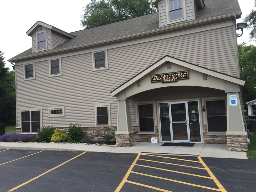 Specialized Care-Avian & Exotic Pets | 10882 Main St, Clarence, NY 14031, USA | Phone: (716) 759-0144