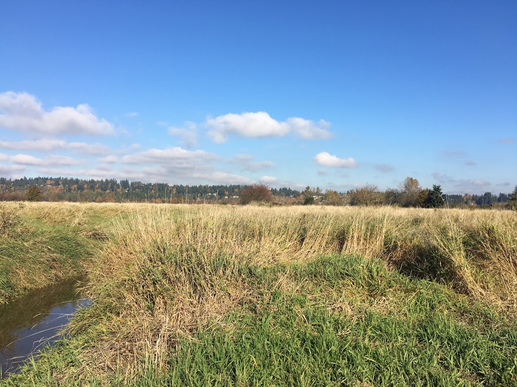 Serpentine Fen Observation Deck | 44 Ave, Surrey, BC V3S 0L2, Canada