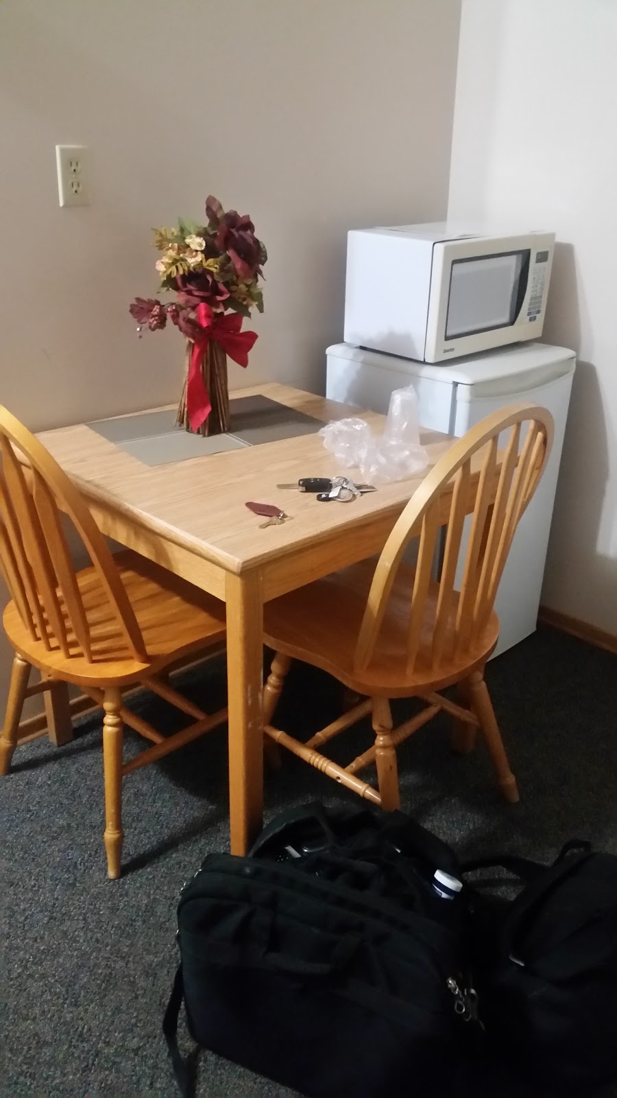 Lakehead Motel | 421 Cumberland St N, Thunder Bay, ON P7A 4P9, Canada | Phone: (807) 345-4487