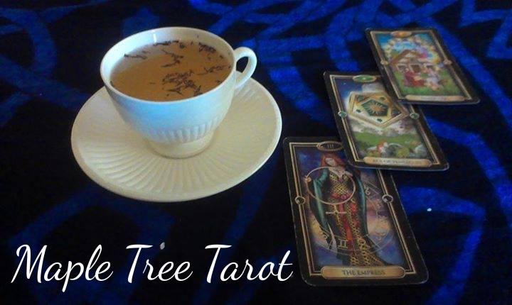 Maple Tree Tarot | 1291 Limberlost Rd, London, ON N6G 3M3, Canada | Phone: (519) 914-2430