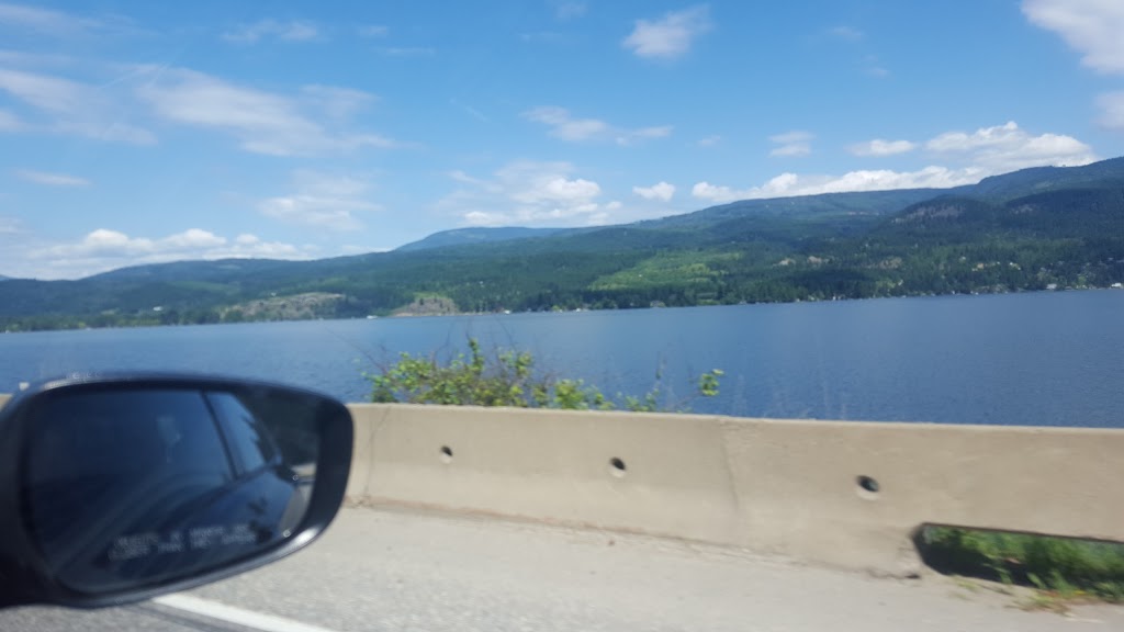 Home Restaurant | 1235 Trans-Canada Hwy, Sorrento, BC V0E 2W0, Canada | Phone: (250) 675-3552