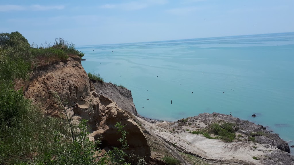 Hawk Cliff | 4296 Hawk Cliff Rd, Union, ON N0L 2L0, Canada
