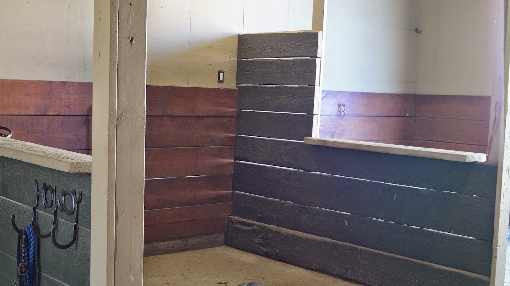 White Dove Stables | 5285 Hopedale Rd, Chilliwack, BC V2R 4P9, Canada | Phone: (604) 832-0189