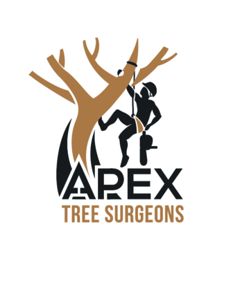 Apex Tree Surgeons | Trans-Canada Highway, Elana Drive, Warminster, ON L0K 2G0, Canada | Phone: (705) 955-7424