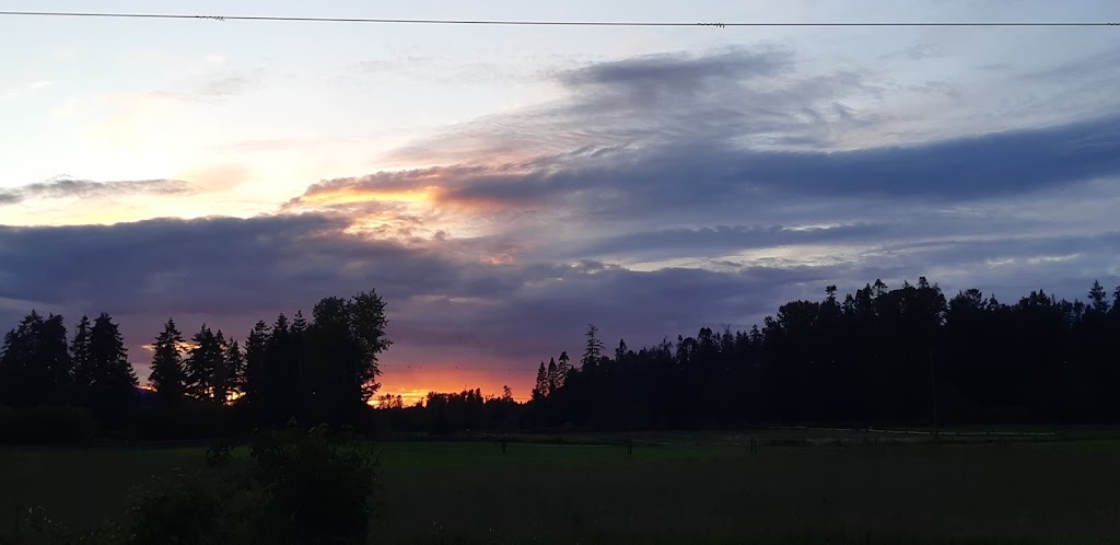 Puntledge RV Campground | 4624 Condensory Rd, Courtenay, BC V9J 1R6, Canada | Phone: (250) 334-3773
