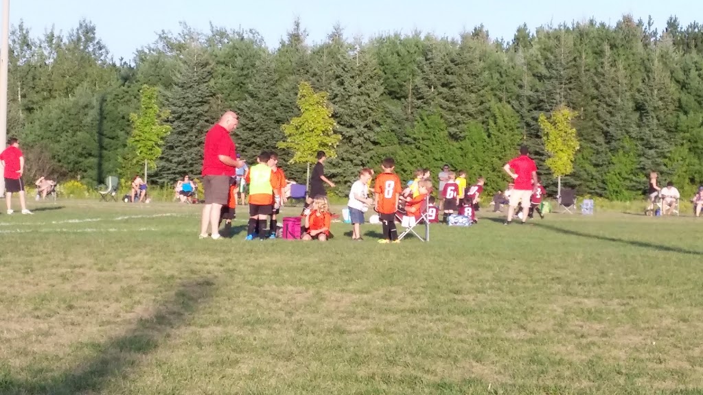 Mount Albert Lions Club | 5057 Mt Albert Rd, Mount Albert, ON L0G 1M0, Canada | Phone: (905) 473-3667