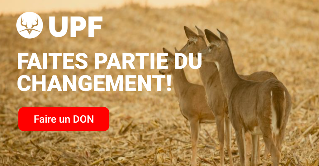 Unis pour la faune | 630 Rte Cloutier, Saint-Nazaire-dActon, QC J0H 1V0, Canada | Phone: (450) 278-2042