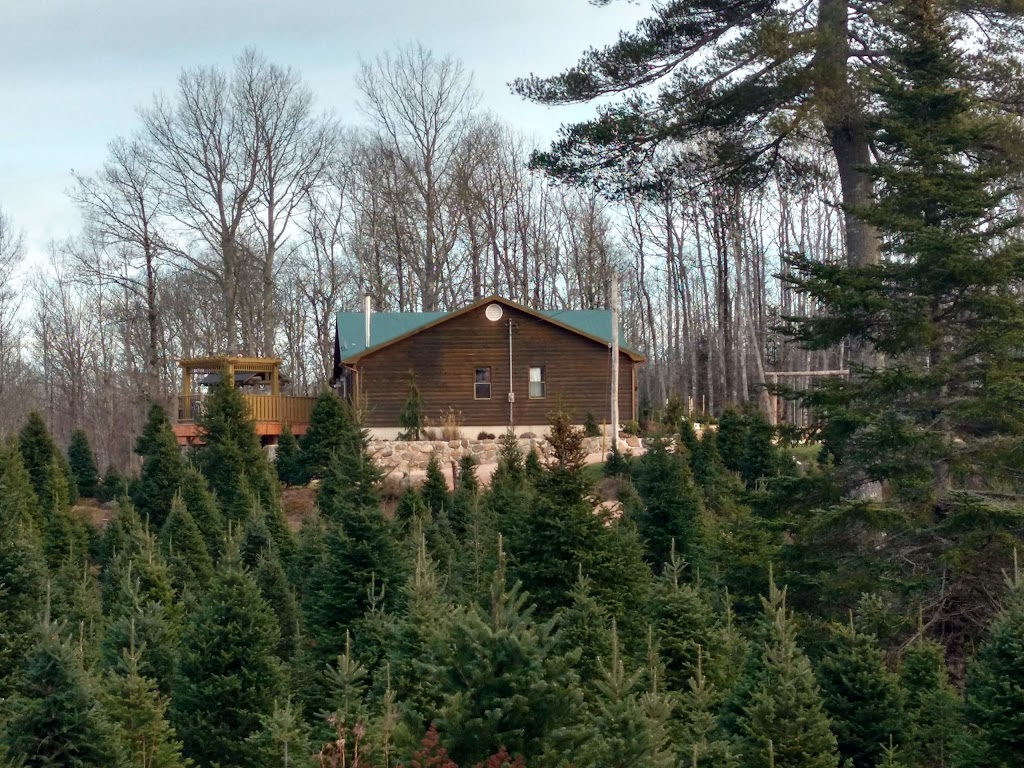 Ledges Edge Lodge | 82 Black Duck Lake Rd, Springfield, NS B0R 1H0, Canada | Phone: (902) 547-2343