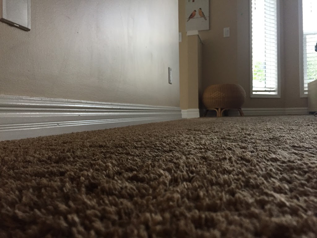 Calgary Carpet Repair & Cleaning | 16 Lake Adams Pl SE, Calgary, AB T2J 3S8, Canada | Phone: (587) 317-5646