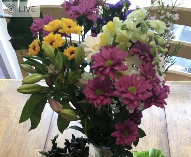 Life Vine Creations | 12374 Elizabeth St, Limehouse, ON L0P 1H0, Canada | Phone: (905) 703-8554