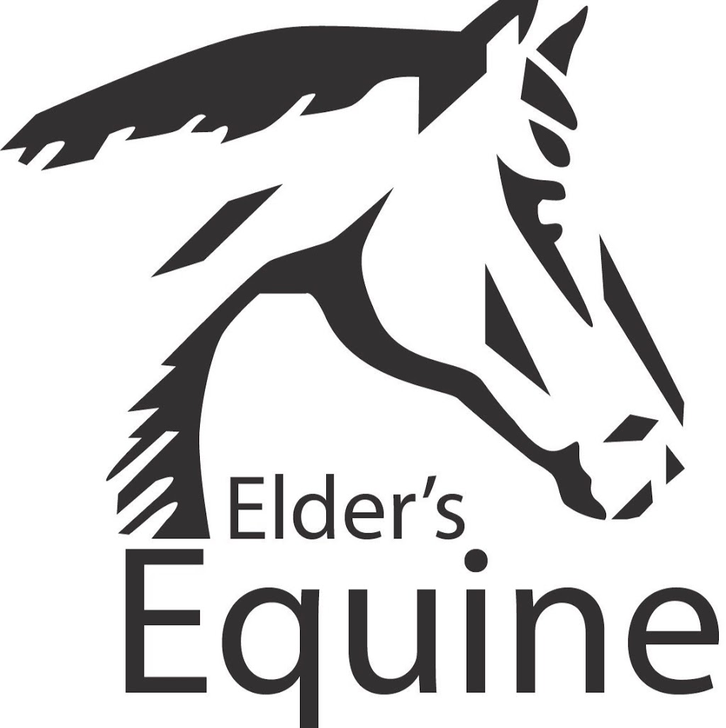 Elders Equine Clinic | 2911 Lido Plage Rd, Cartier, MB R4K 1A5, Canada | Phone: (204) 864-2888