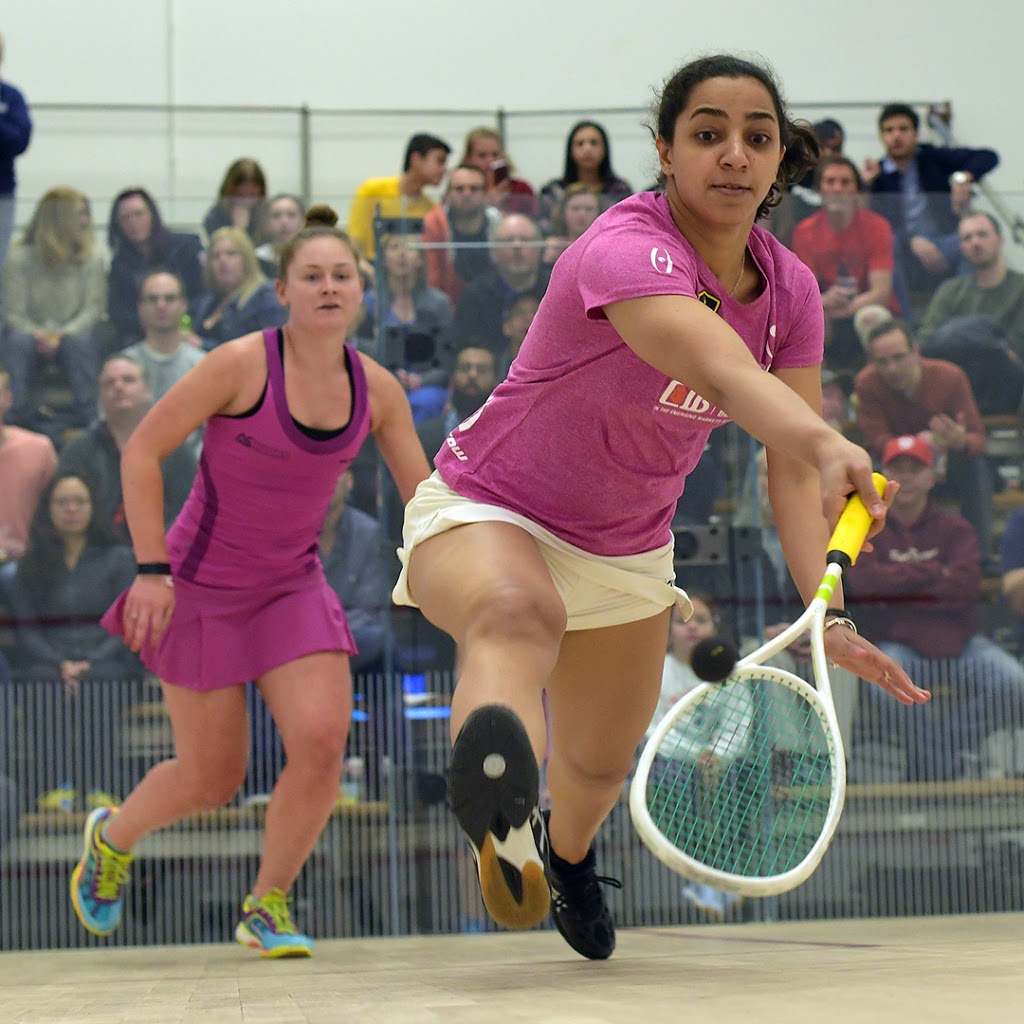 Edmonton Squash Club | 15330 111 Ave NW, Edmonton, AB T5M 4C8, Canada | Phone: (780) 306-2395