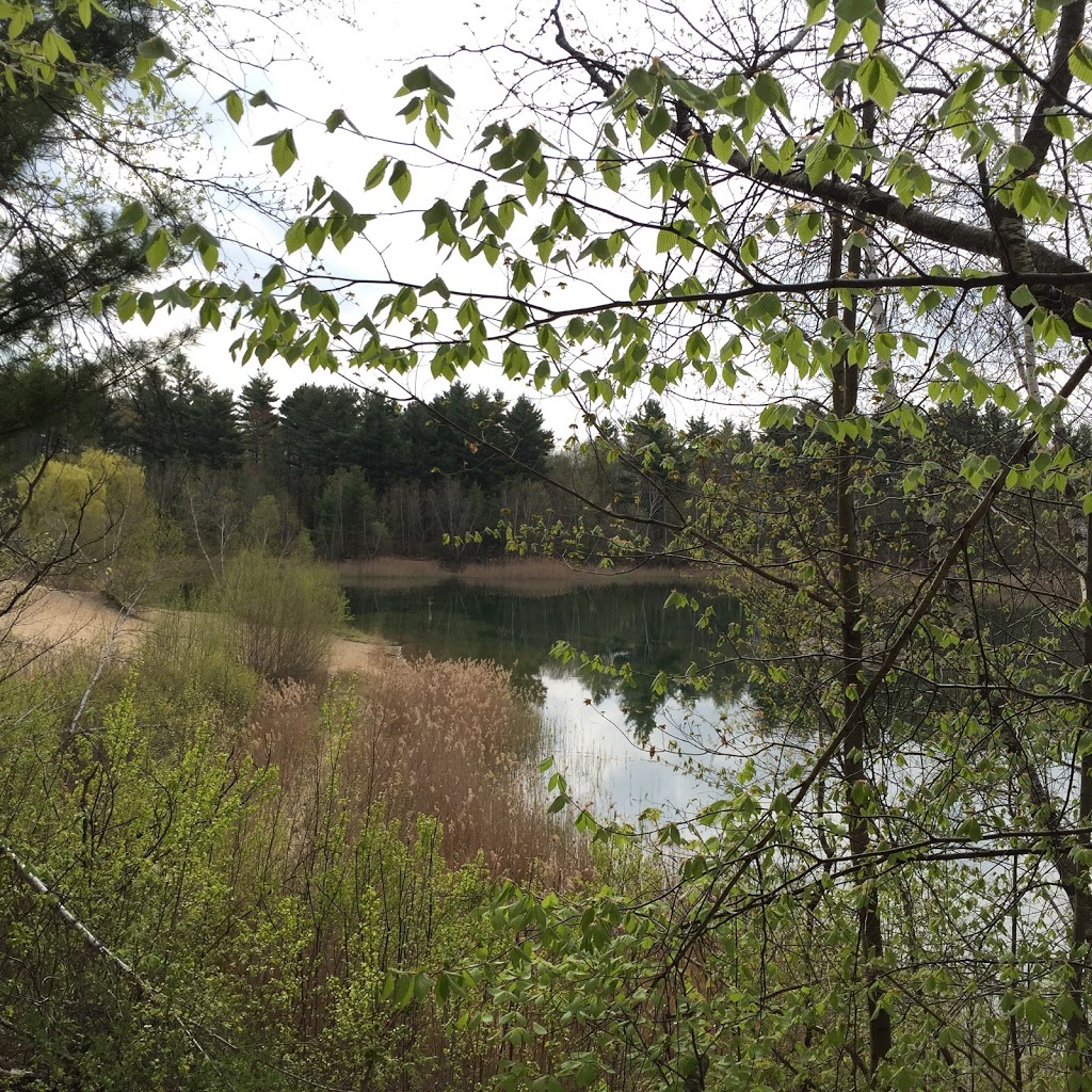 Parc Ivor-McLeod (Parc du lac des Dunes) | Rue Yearling, Saint-Lazare, QC J7T, Canada | Phone: (450) 424-8000