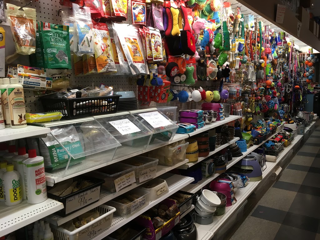 Puppies Fish & Critters | 7019 120 St, Delta, BC V4E 2A9, Canada | Phone: (604) 590-3727