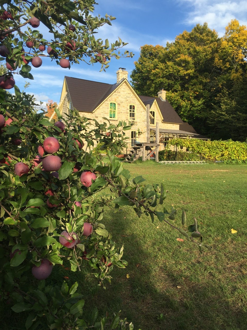 Farmgate Cider | 4547 Mohrs Rd, Arnprior, ON K7S 3G7, Canada | Phone: (613) 291-1788