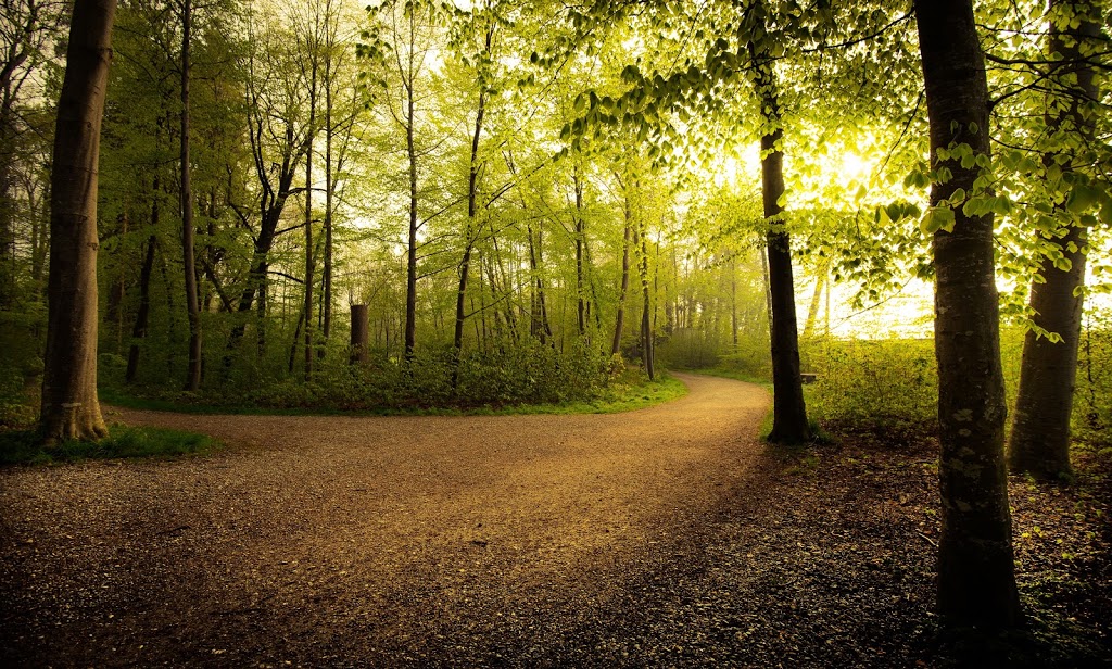 Pathway Legal - Divorce and Family Law | 2745 Veterans Memorial Pkwy #123, Victoria, BC V9B 0H4, Canada | Phone: (250) 220-8686