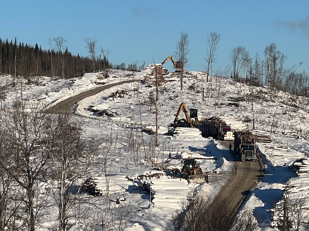 Transport GCinqS | 1334 Rue Principale, Girardville, QC G0W 1R0, Canada | Phone: (418) 637-8225