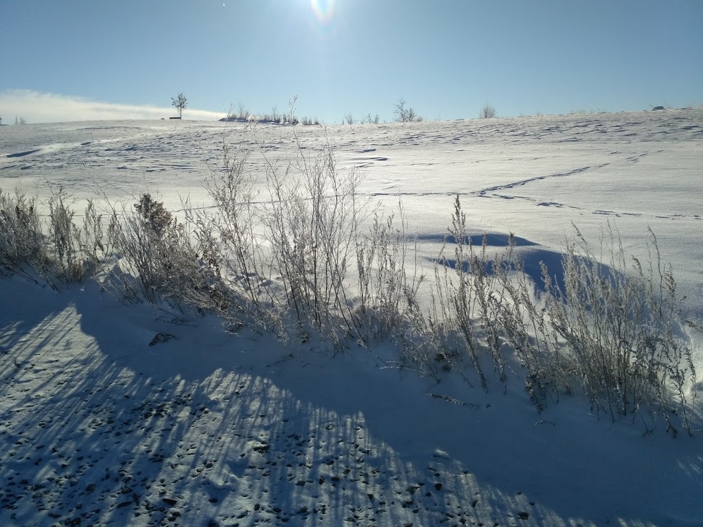 Lindsey Wilson Park | 379 Island Shore Blvd, Winnipeg, MB R3X 2B4, Canada