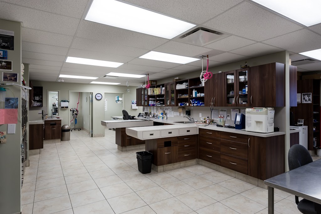 Billings Bridge Animal Hospital | 1220 Rooneys Ln, Ottawa, ON K1H 1C2, Canada | Phone: (613) 737-5007