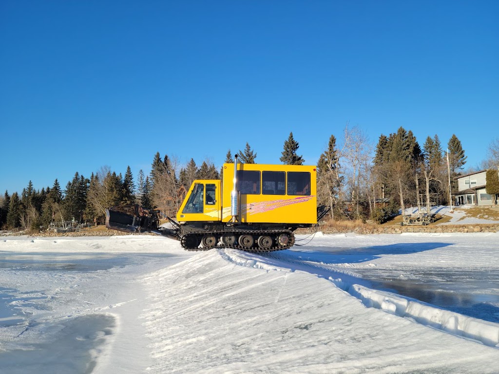 Arbor Mulching | Range Rd 275, Red Deer County, AB T4S 2A9, Canada | Phone: (403) 318-3183
