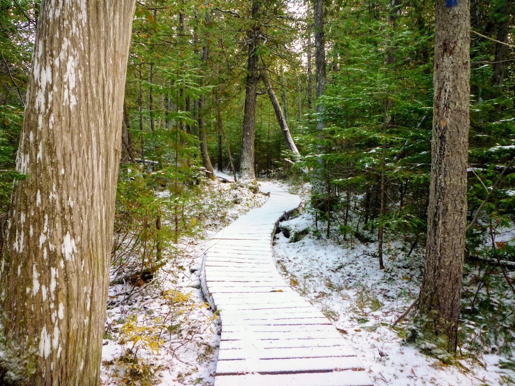 Appalachian Park | 105 Rue Principale, Sainte-Lucie-de-Beauregard, QC G0R 3L0, Canada | Phone: (877) 827-3423