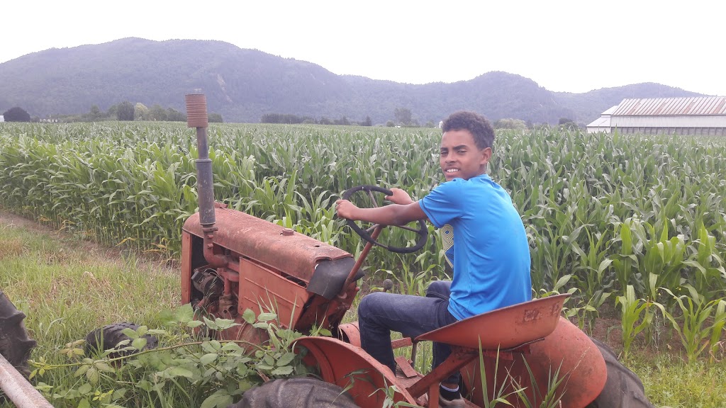 Warkentin Organic Farm | 6934 Sandberg St, Abbotsford, BC V3G 1N7, Canada | Phone: (604) 826-7230