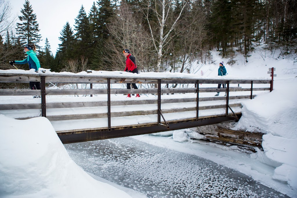 Mont-Sainte-Anne Cross Country Ski Centre | 300 Rang St Julien, Saint-Ferréol-les-Neiges, QC G0A 3R0, Canada | Phone: (418) 827-4561