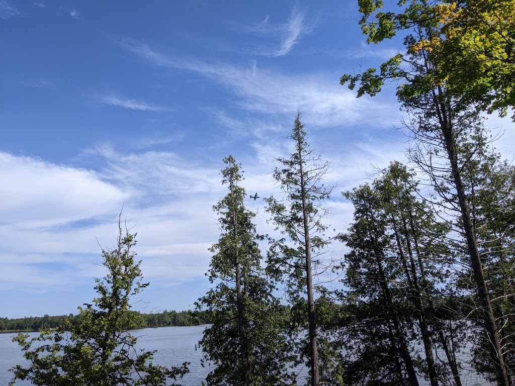 Eaglewings Cottage | 2946 Eagles Cliff Ln, Selwyn, ON K0H 2H0, Canada | Phone: (416) 702-9334