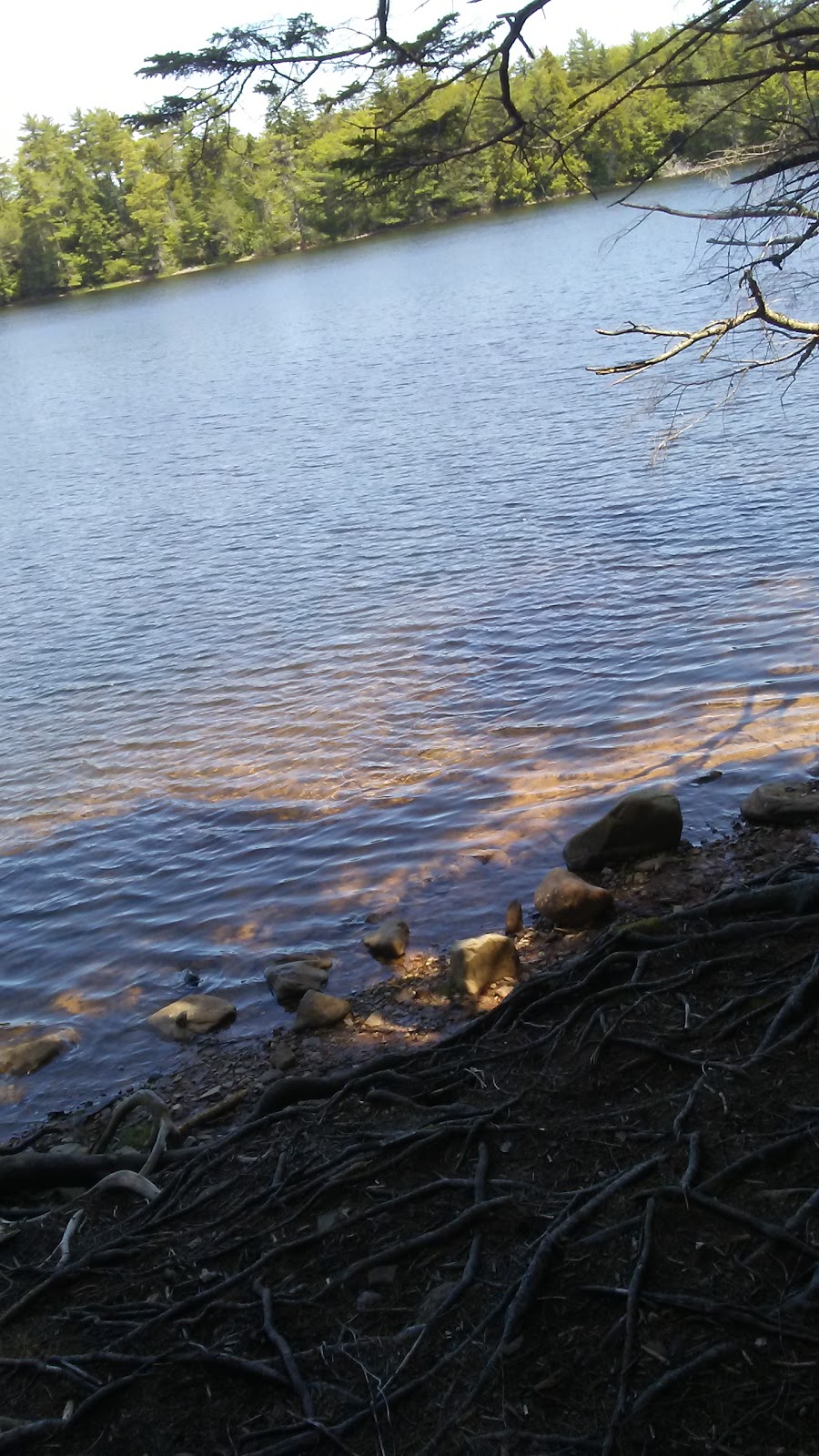 Sackville Lakes Provincial Park | 440 First Lake Dr, Lower Sackville, NS B4C 3L2, Canada | Phone: (888) 773-8888