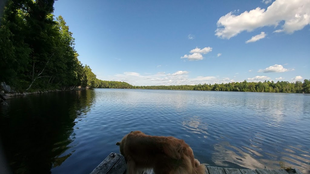 Murphys Point Beach | Tay Valley, ON K7H 3C7, Canada