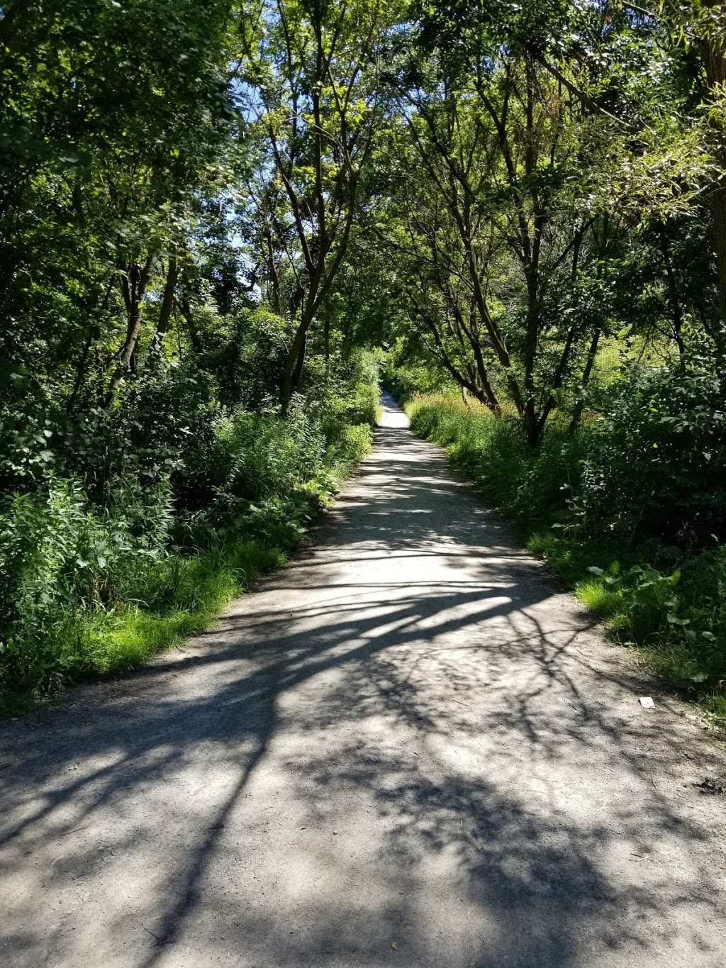 Park Drive Reservation Lands | 185 Mt Pleasant Rd, Toronto, ON M4W 1W2, Canada | Phone: (416) 392-2489