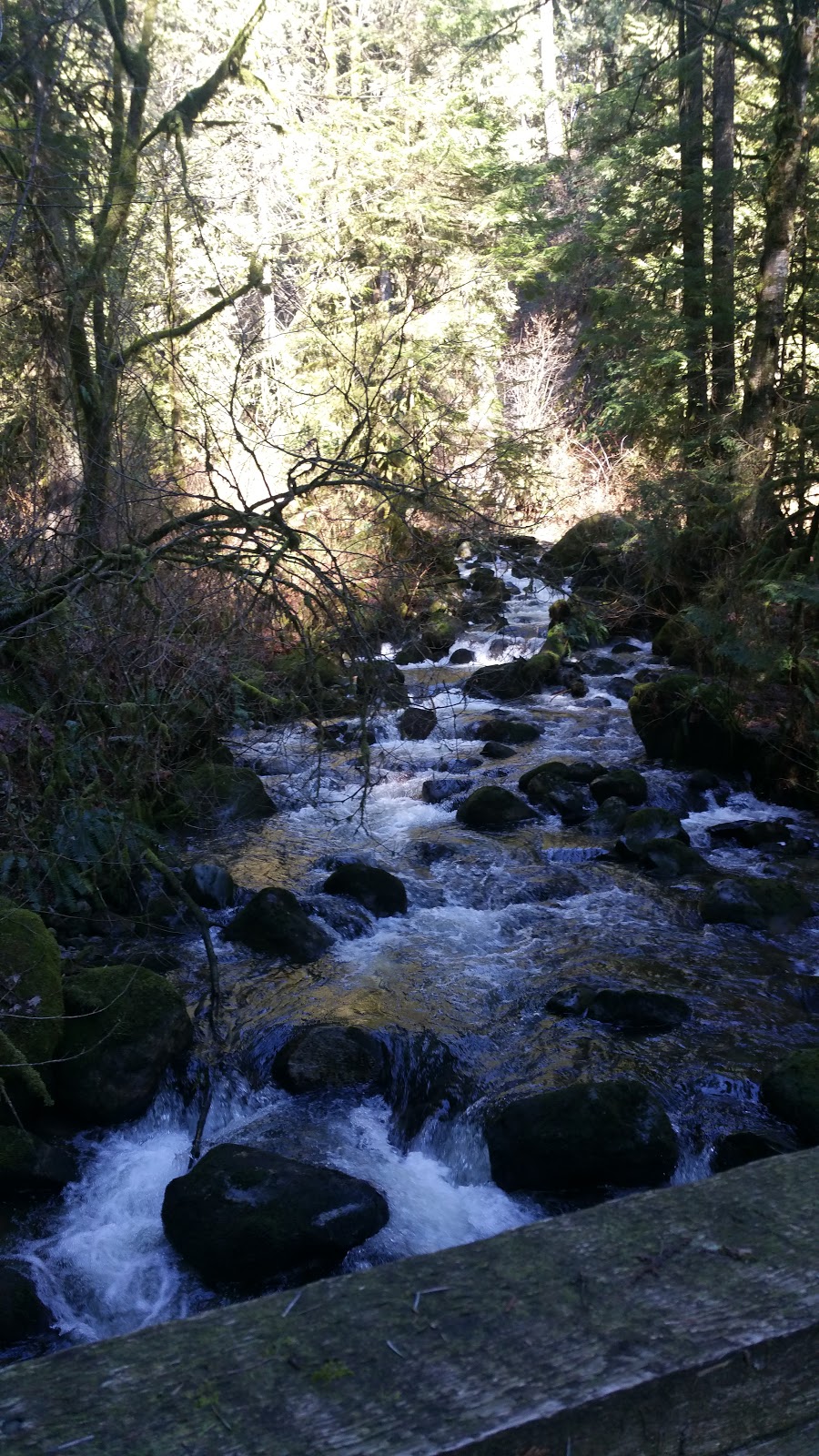 Railway Trail | 10911 Wilson St, Mission, BC V4S 1B5, Canada