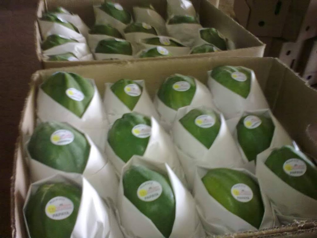 Tropimex Produce | 4151 184 St, Surrey, BC V3Z 1B7, Canada | Phone: (604) 277-1705