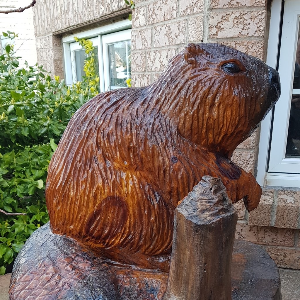 Busy Beaver Builders | point of interest | 4968 Alexandra Ave, Beamsville, ON L0R 1B5, Canada | 2894395870 OR +1 289-439-5870