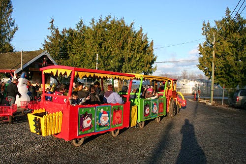 Oh Christmas Tree Farm | 21858 Maxwell Crescent, Langley City, BC V2Y 2P9, Canada | Phone: (604) 805-5052