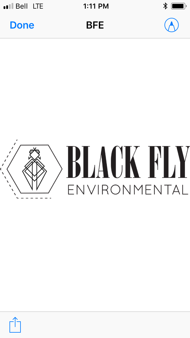 Black Fly Environmental Ltd | 9825 283 Street Suite 200, Acheson, AB T7X 6J5, Canada | Phone: (587) 853-0769