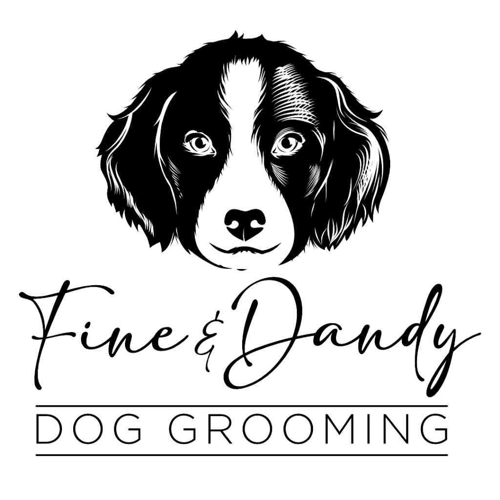 Fine & Dandy Dog Groming | 131 Cobblestone St, Riverview, NB E1B 0A2, Canada | Phone: (506) 269-3232